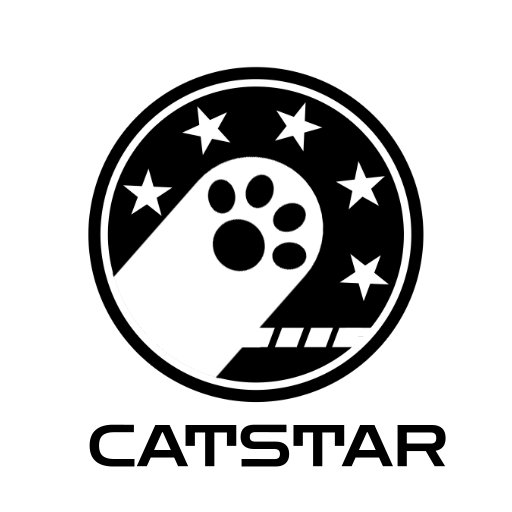ドールディーラーのお手伝い